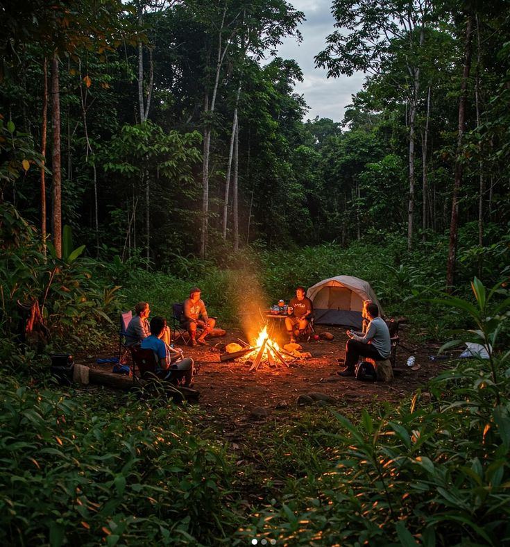 Friends gathered around a campfire in the jungle at dusk
